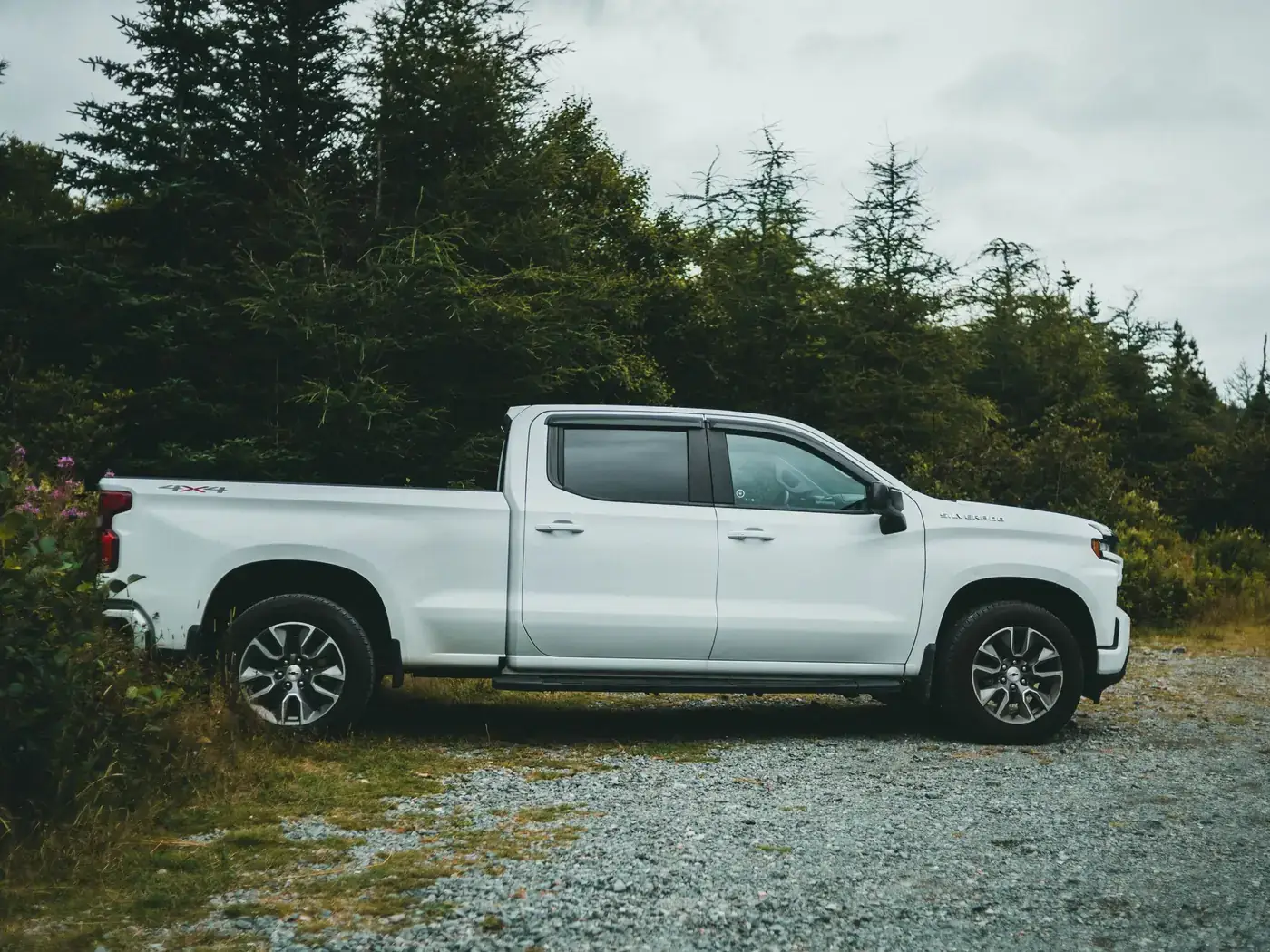 White pickup truck parked on a gravel drive beside evergreen trees