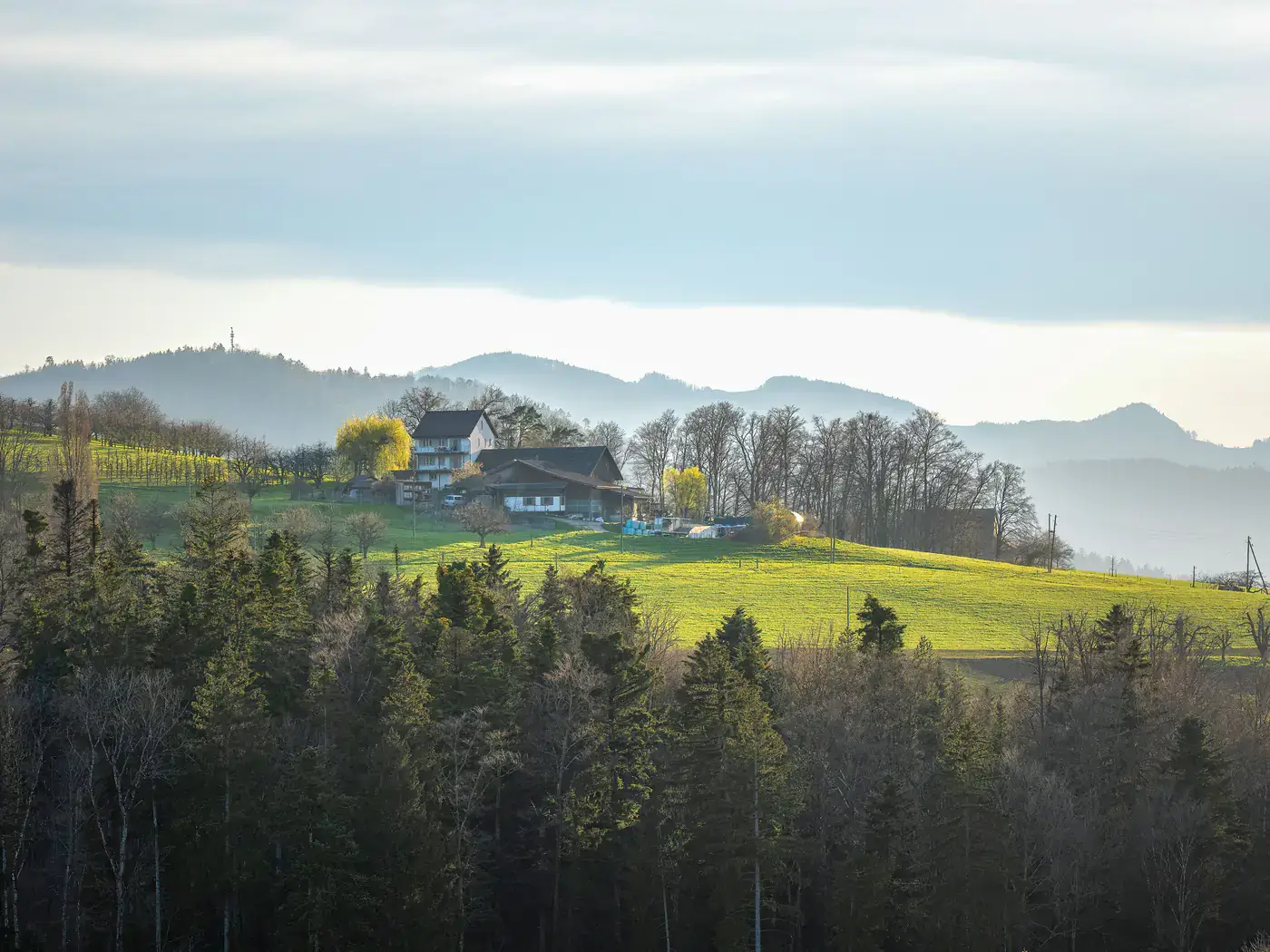 Farmhouse on a green hillside above a forest with misty mountains behind