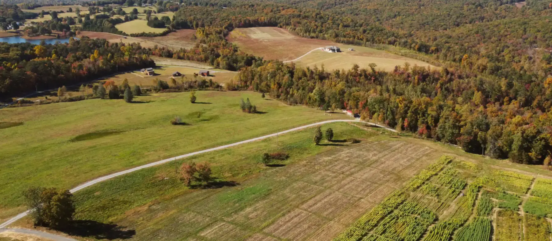 Aerial view of farm fields and wooded rolling hills in early autumn